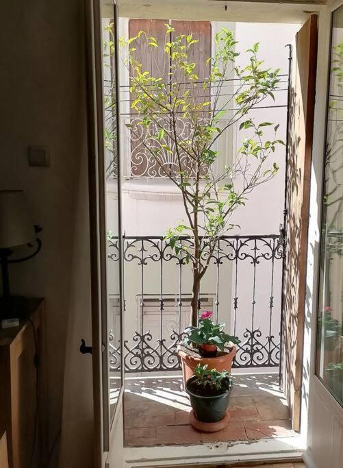 Maison De Village Dans Le Centre Du Vieux Quartier Marseillan  Extérieur photo